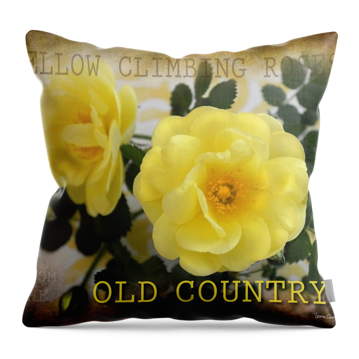 May Throw Pillow featuring the photograph Old Country Roses by Lena Wilhite