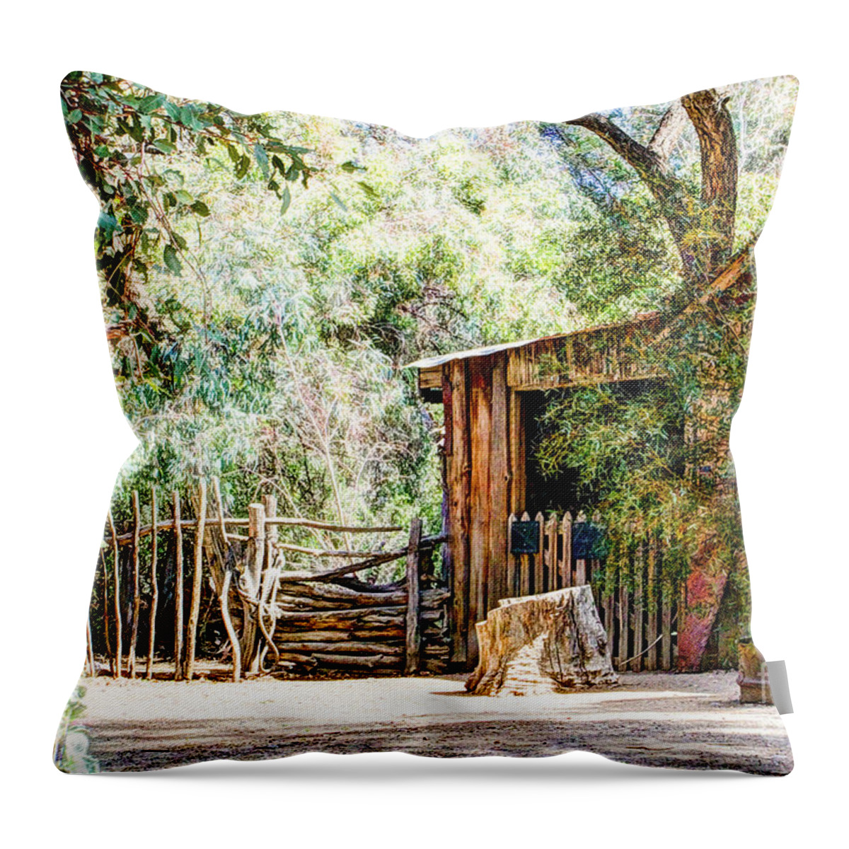 Old Farm Building Throw Pillow featuring the digital art Old Farm Building by Georgianne Giese