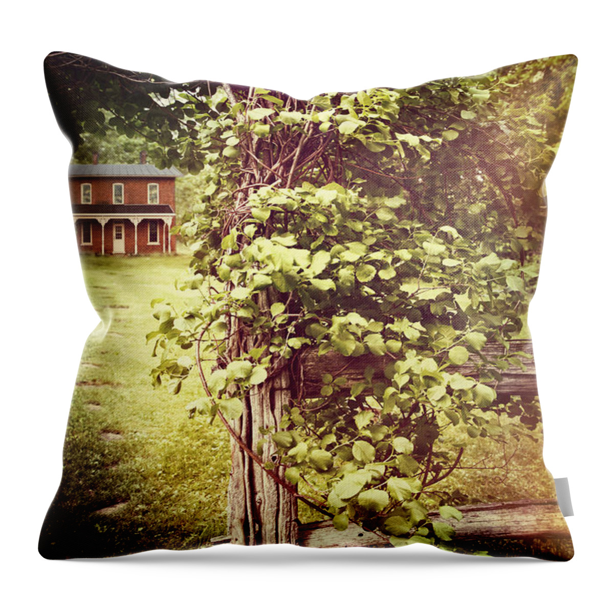 Aged Throw Pillow featuring the photograph Old farmhouse at the end of a arched path by Sandra Cunningham