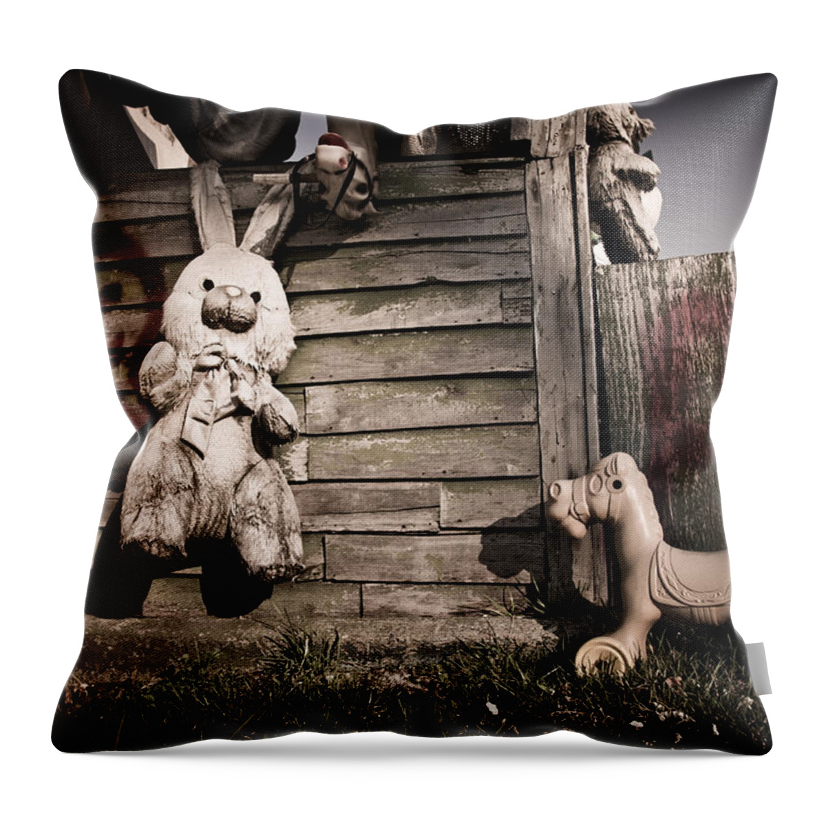  Throw Pillow featuring the photograph Old Friends by Priya Ghose