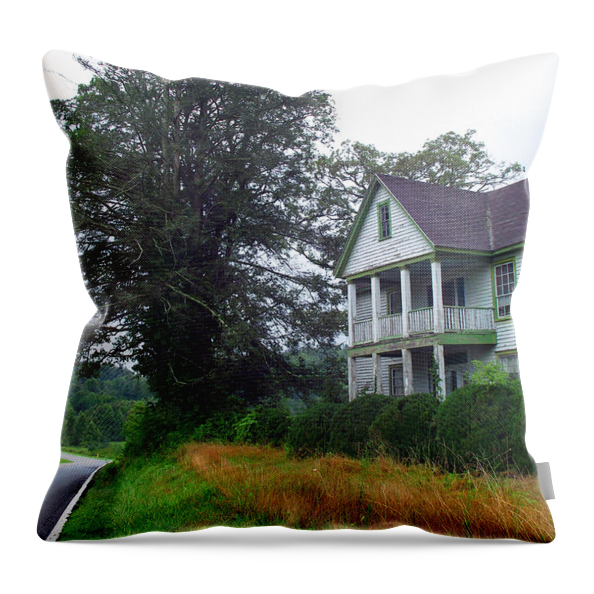 Old Houses Throw Pillow featuring the photograph Old Galloway House in Rosman NC by Duane McCullough