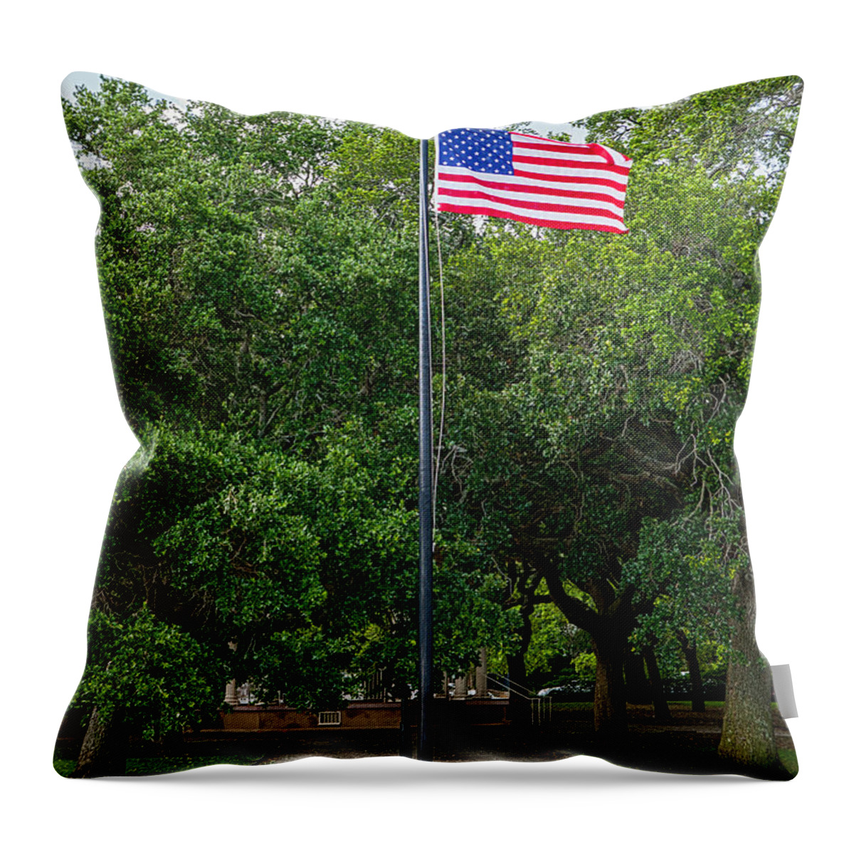Landscape Throw Pillow featuring the photograph Old Glory High and Proud by Sennie Pierson