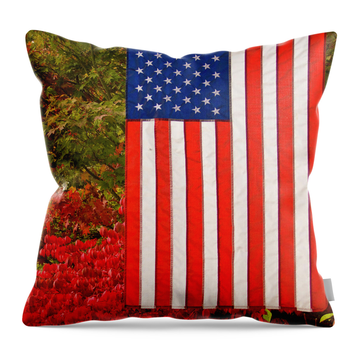 Ron Roberts Throw Pillow featuring the photograph Old Glory by Ron Roberts