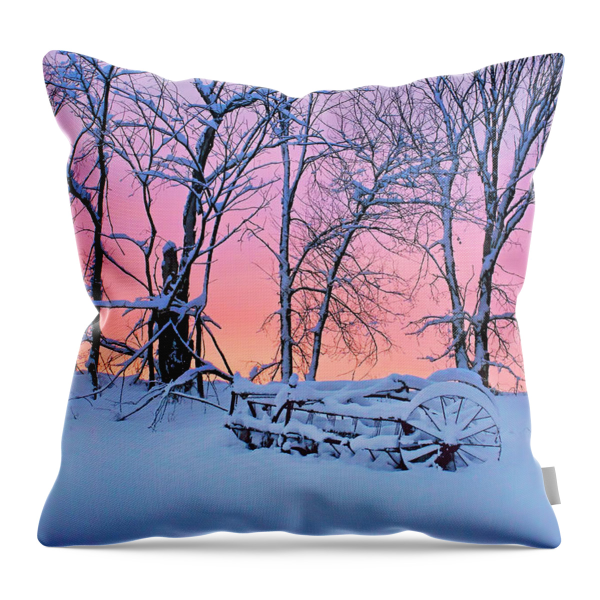 Winter Throw Pillow featuring the photograph Old Hayrake - Winter Sunset by Nikolyn McDonald