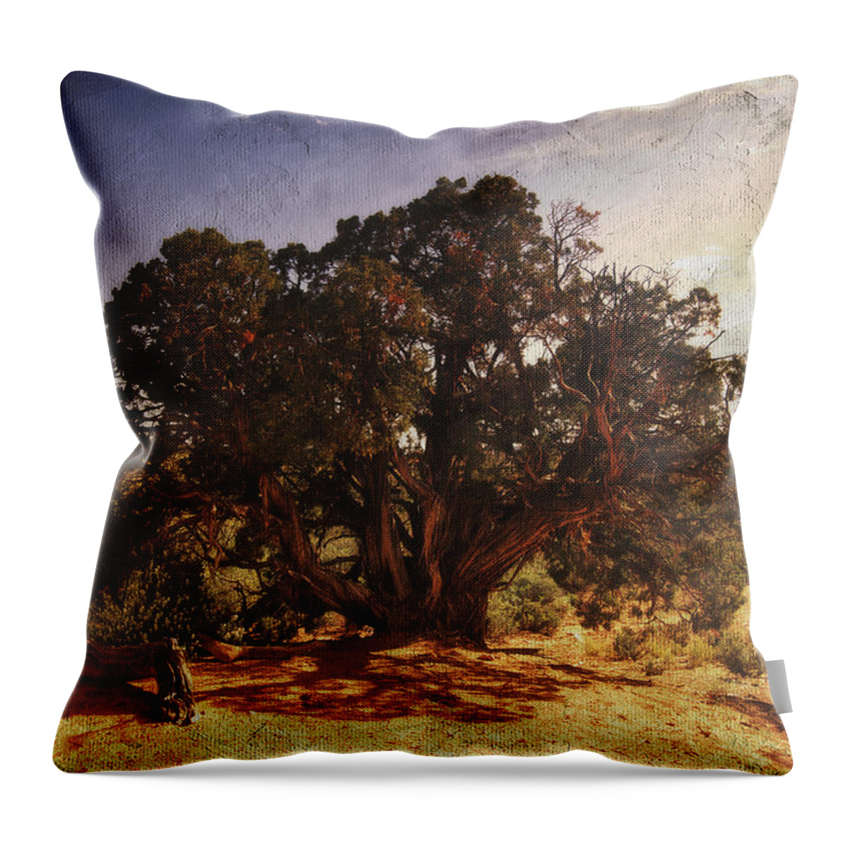 Juniper Tree Throw Pillow featuring the digital art Old Juniper Tree by Sandra Selle Rodriguez