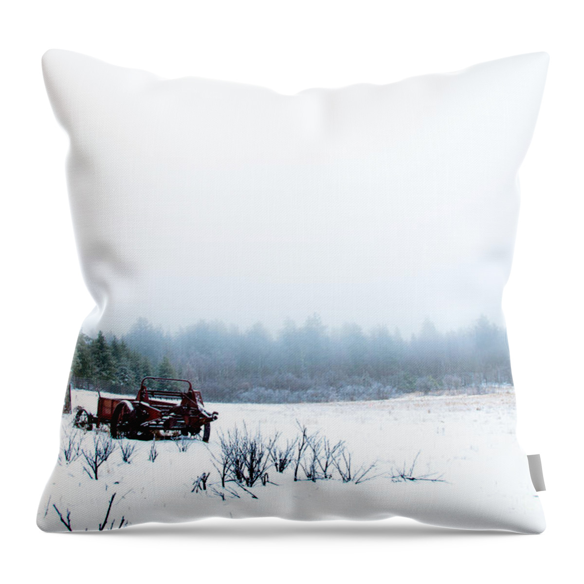 Frost Throw Pillow featuring the photograph Old Manure Spreader by Cheryl Baxter