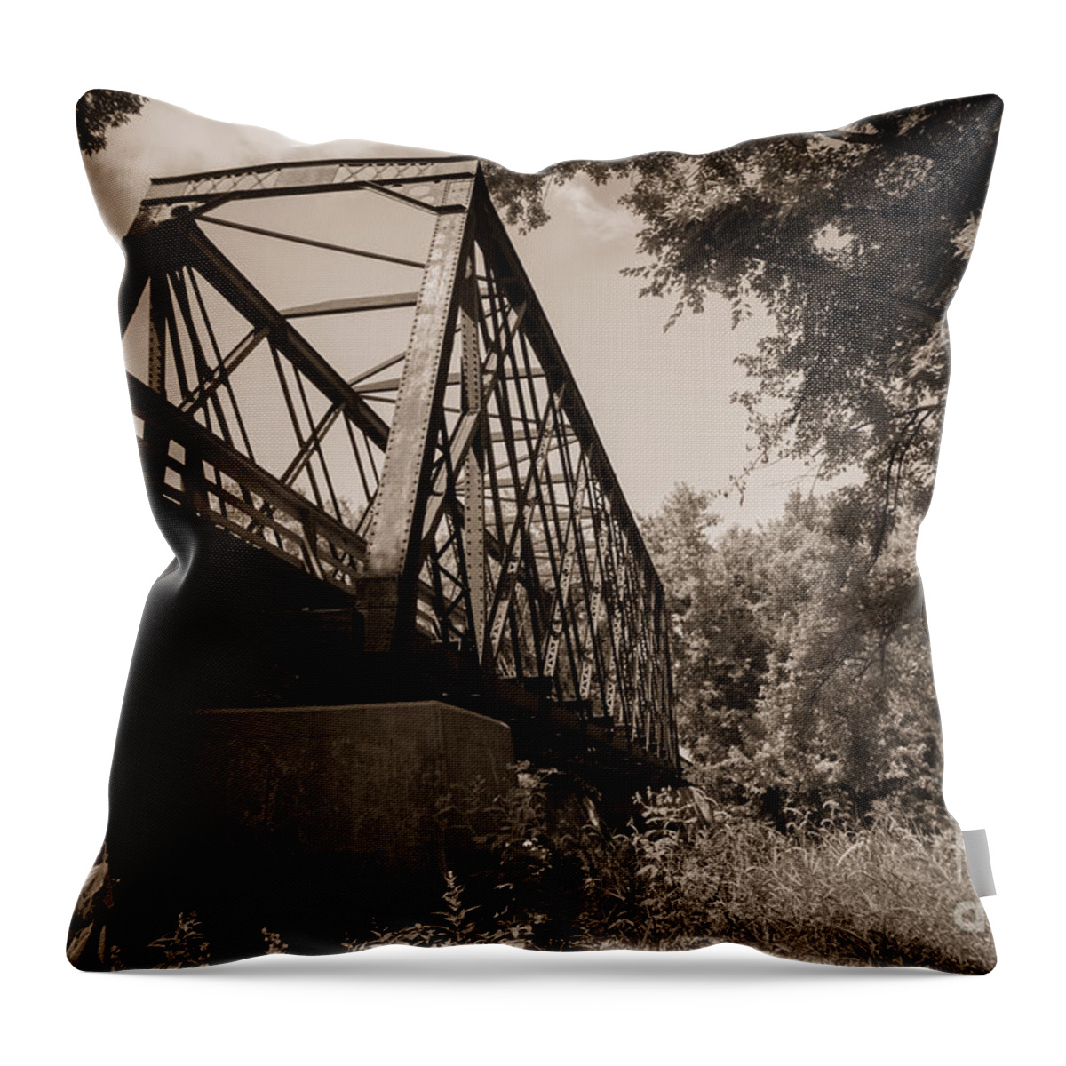 Trestle Throw Pillow featuring the photograph Old Rail Bridge by M Dale