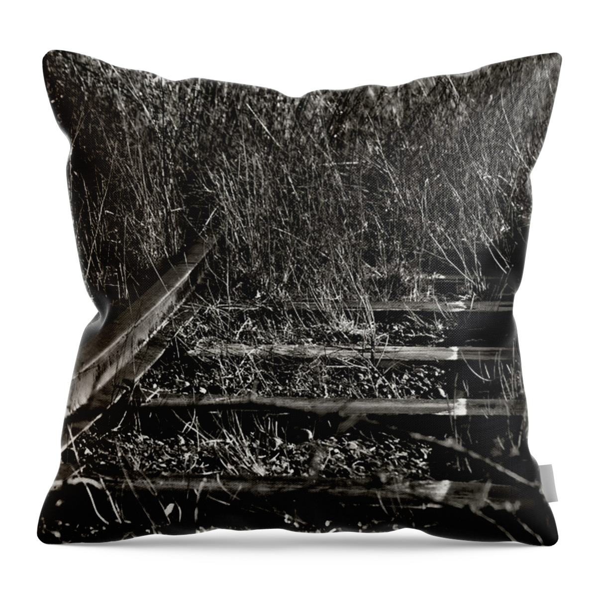 Rail Throw Pillow featuring the photograph Old Rails by Ron Roberts