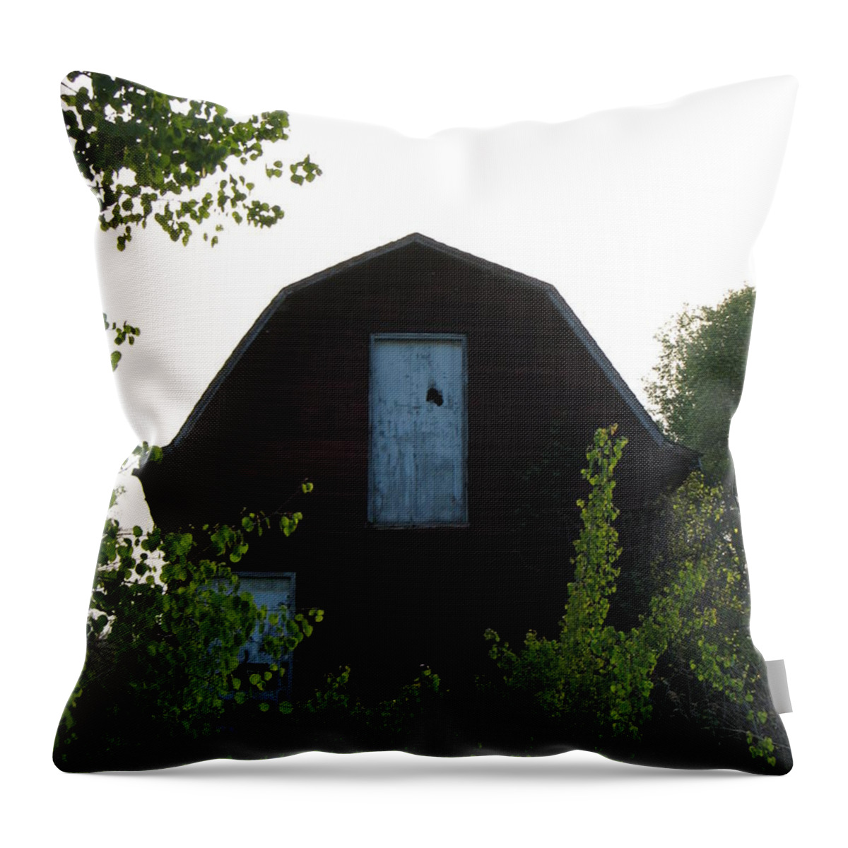 Barns Throw Pillow featuring the photograph Old Red Barn 2 by Michael Krek