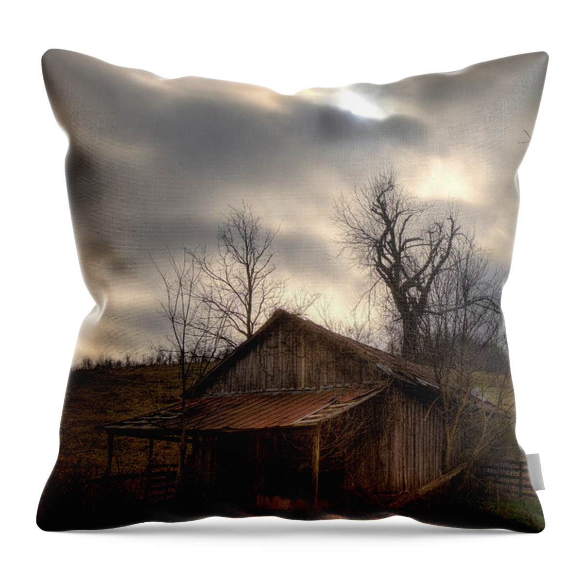 Old Building Throw Pillow featuring the photograph Old Shed at Osage by Michael Dougherty