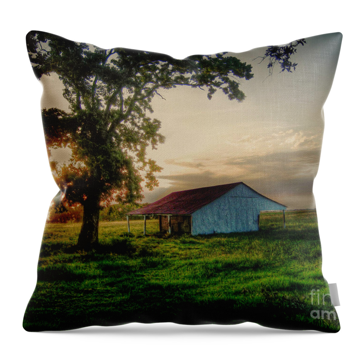 Old Throw Pillow featuring the photograph Old Shed by Savannah Gibbs