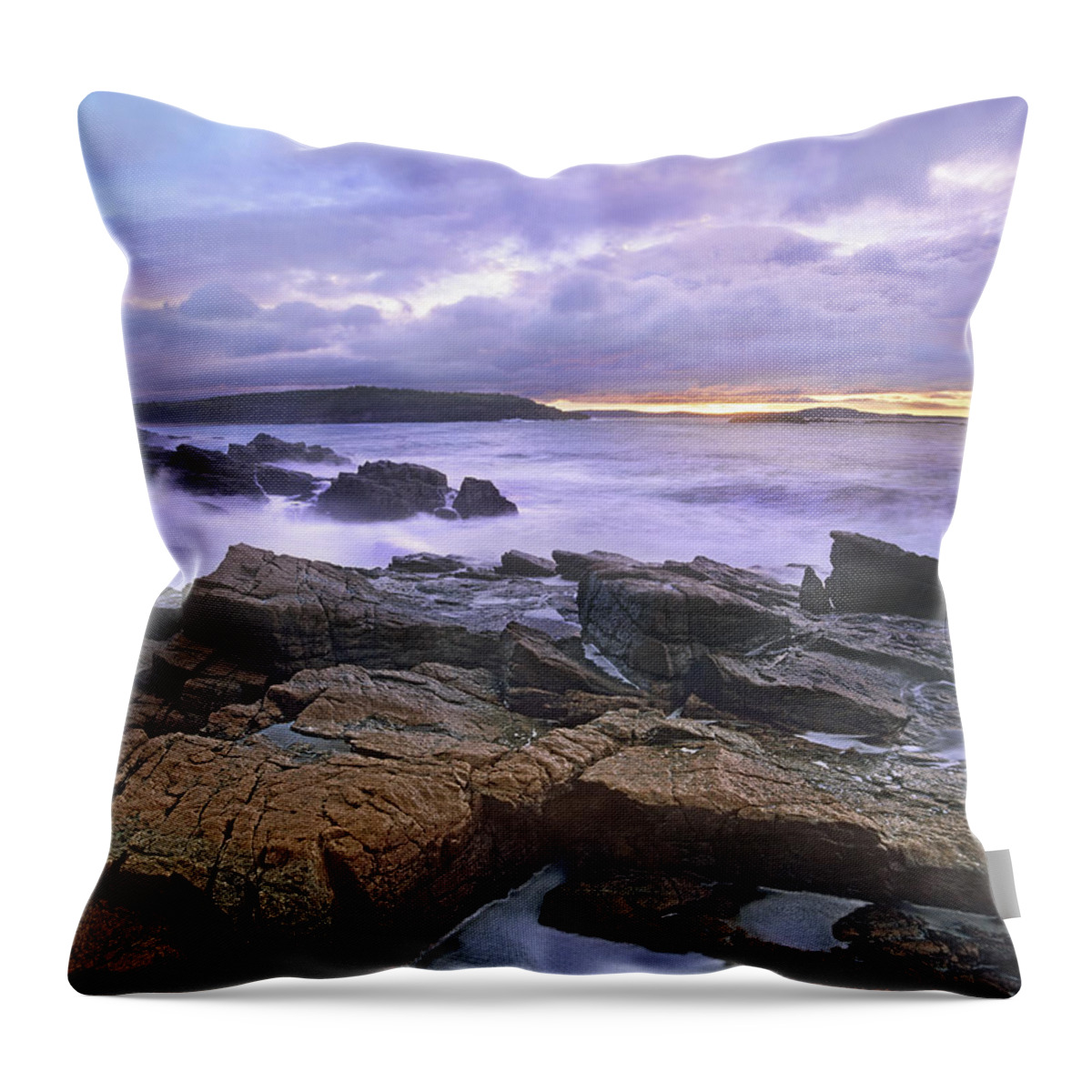 533804 Throw Pillow featuring the photograph Old Soaker Acadia Maine by Tim Fitzharris