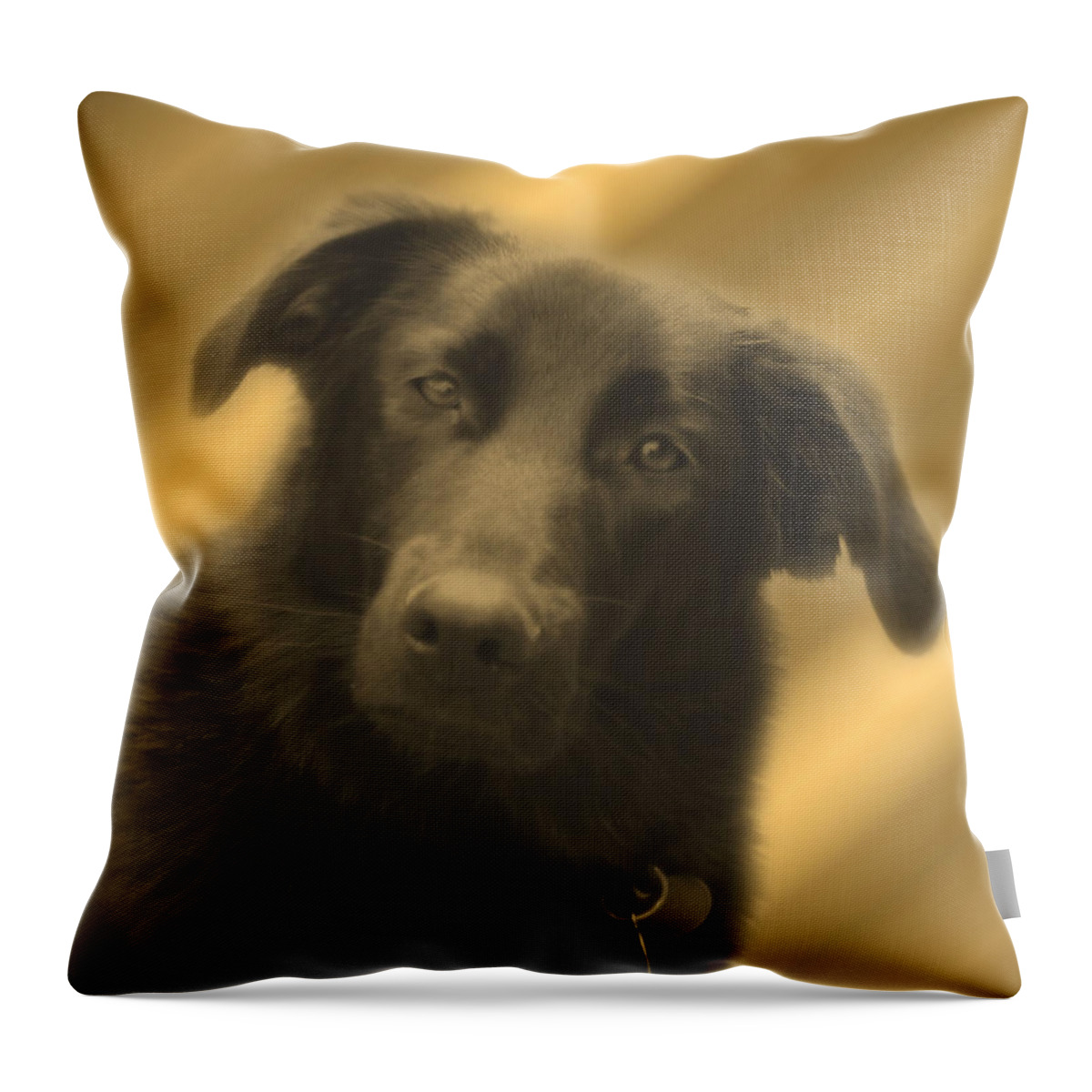 Dogs Throw Pillow featuring the photograph Old Soul Eyes by Smilin Eyes Treasures