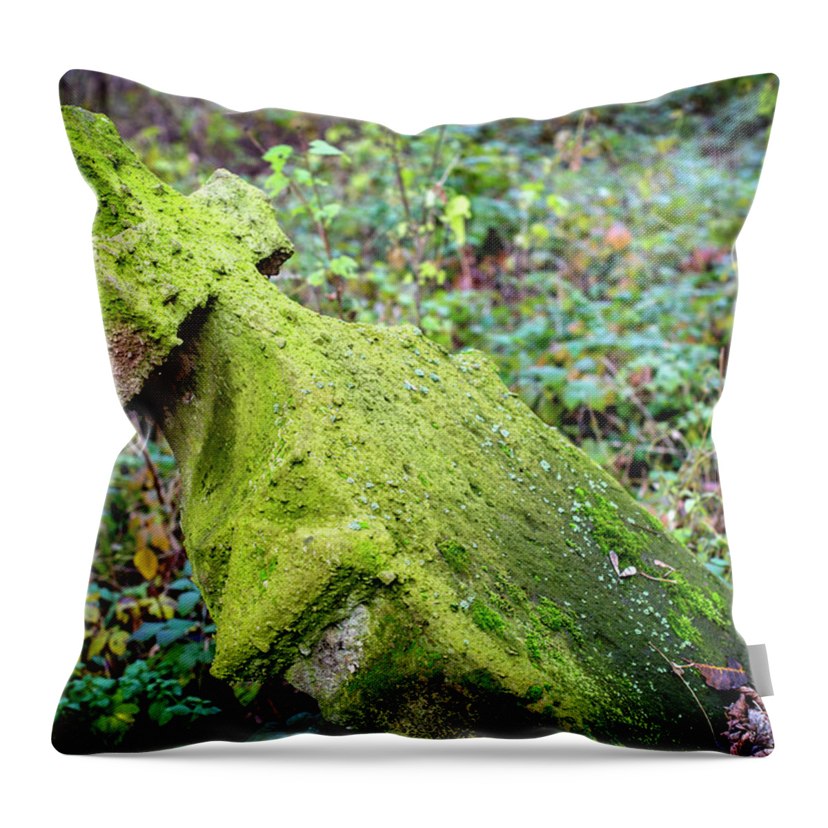 Spooky Throw Pillow featuring the photograph Old Stone Cross In The Autumn Foliage by Yorkfoto