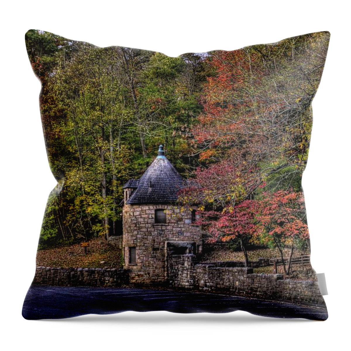 River Throw Pillow featuring the photograph Old Stone Tower at the edge of the Forest by Jonny D