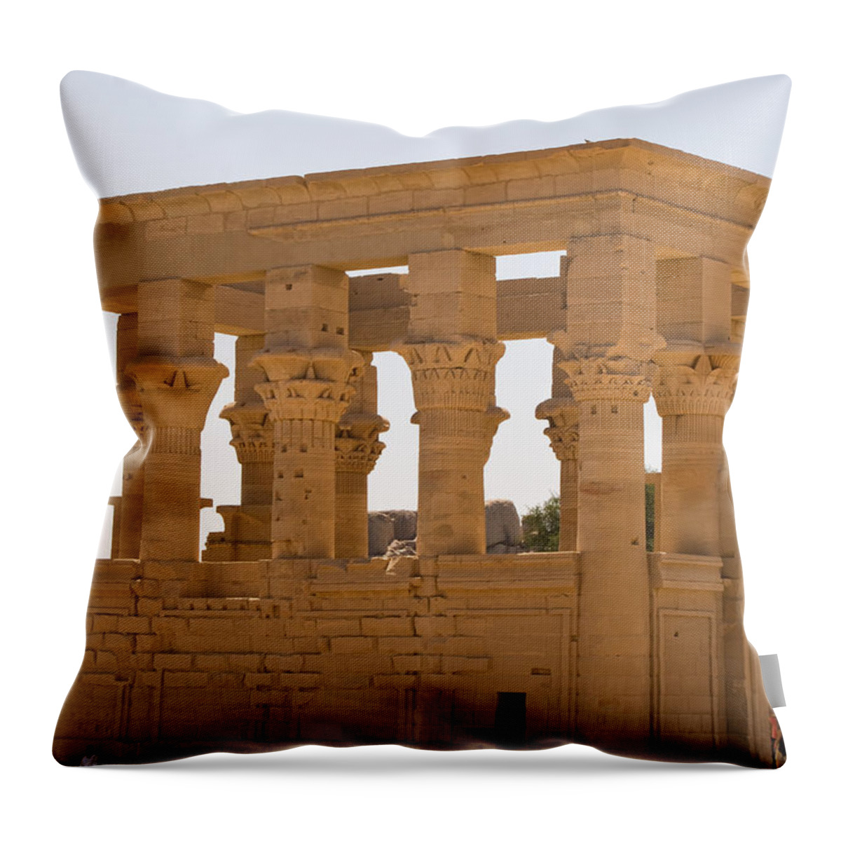  Throw Pillow featuring the photograph Old Structure 3 by James Gay