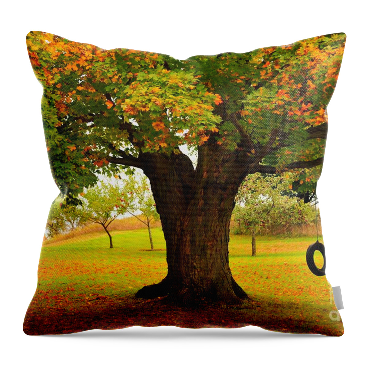 Tire Throw Pillow featuring the photograph Old Tire Swing by Terri Gostola