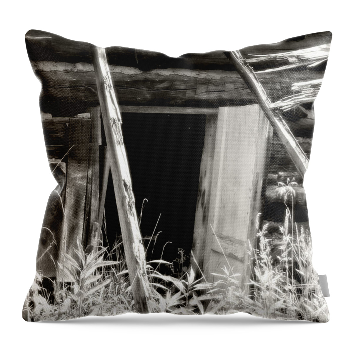 Barn Throw Pillow featuring the photograph Old Tobacco Barn by Michael Allen