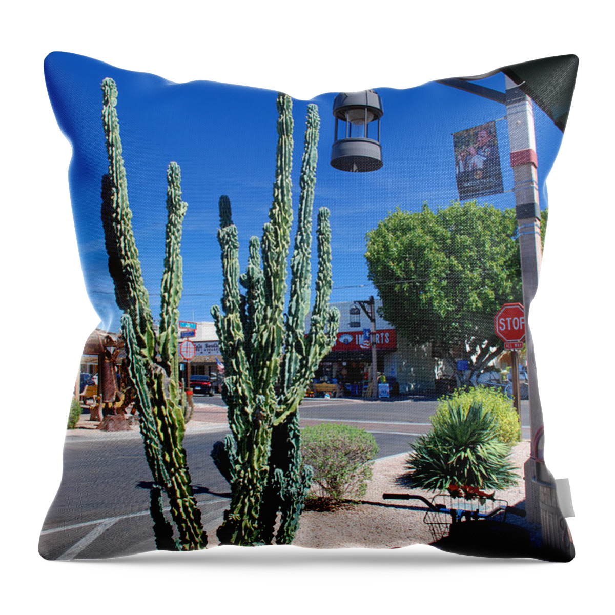 Cactus Old Town Scottsdale Arizona Throw Pillow featuring the photograph Old Town Cactus by Richard Gibb