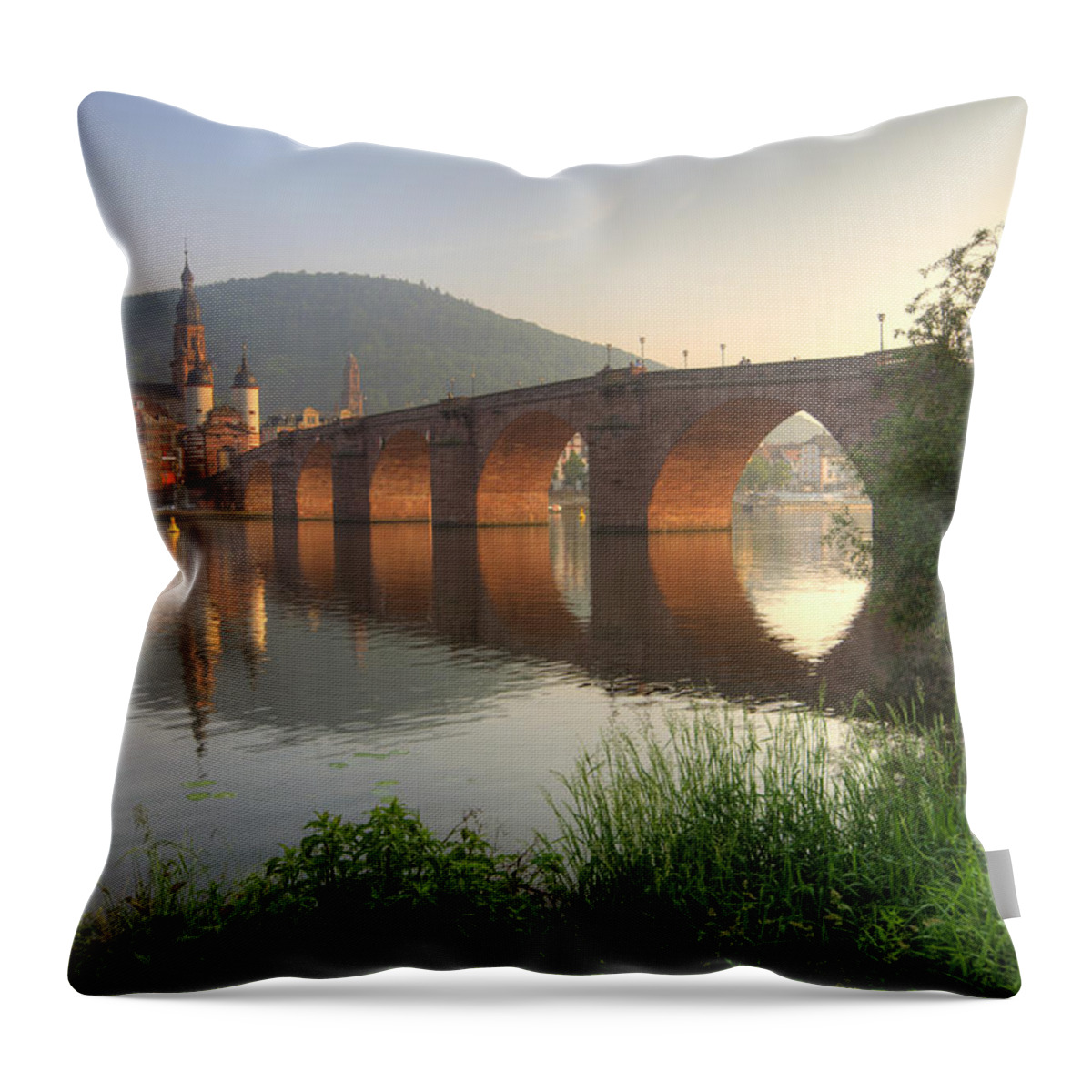 Neckar River Throw Pillow featuring the photograph Old Town Reflection by Richard Fairless
