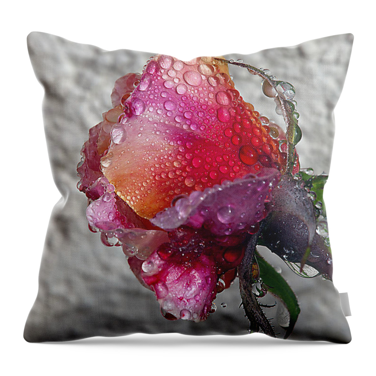 Roses Throw Pillow featuring the photograph Olde English by Joe Schofield