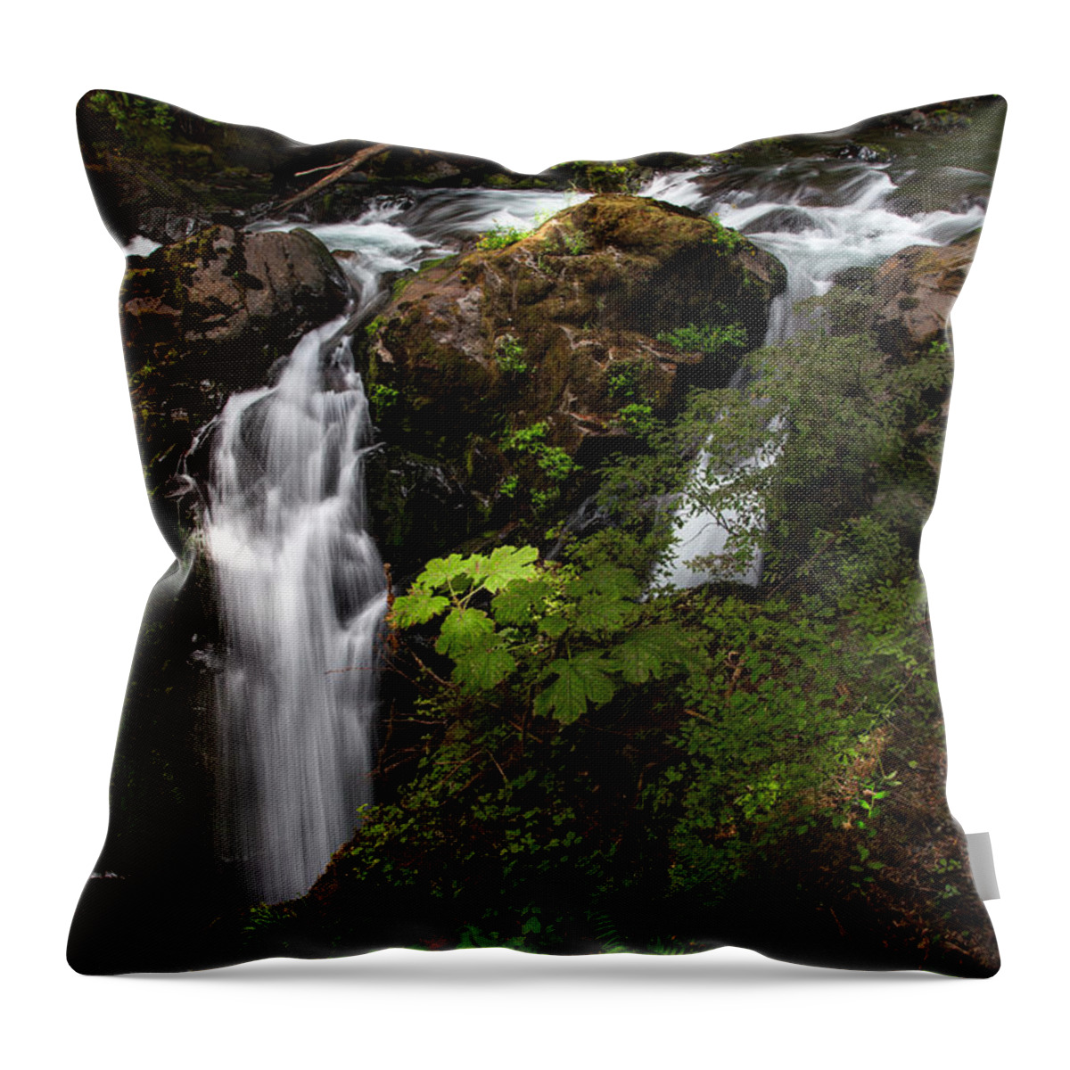 Olympic National Park Throw Pillow featuring the photograph Olympic National Park by Larry Marshall