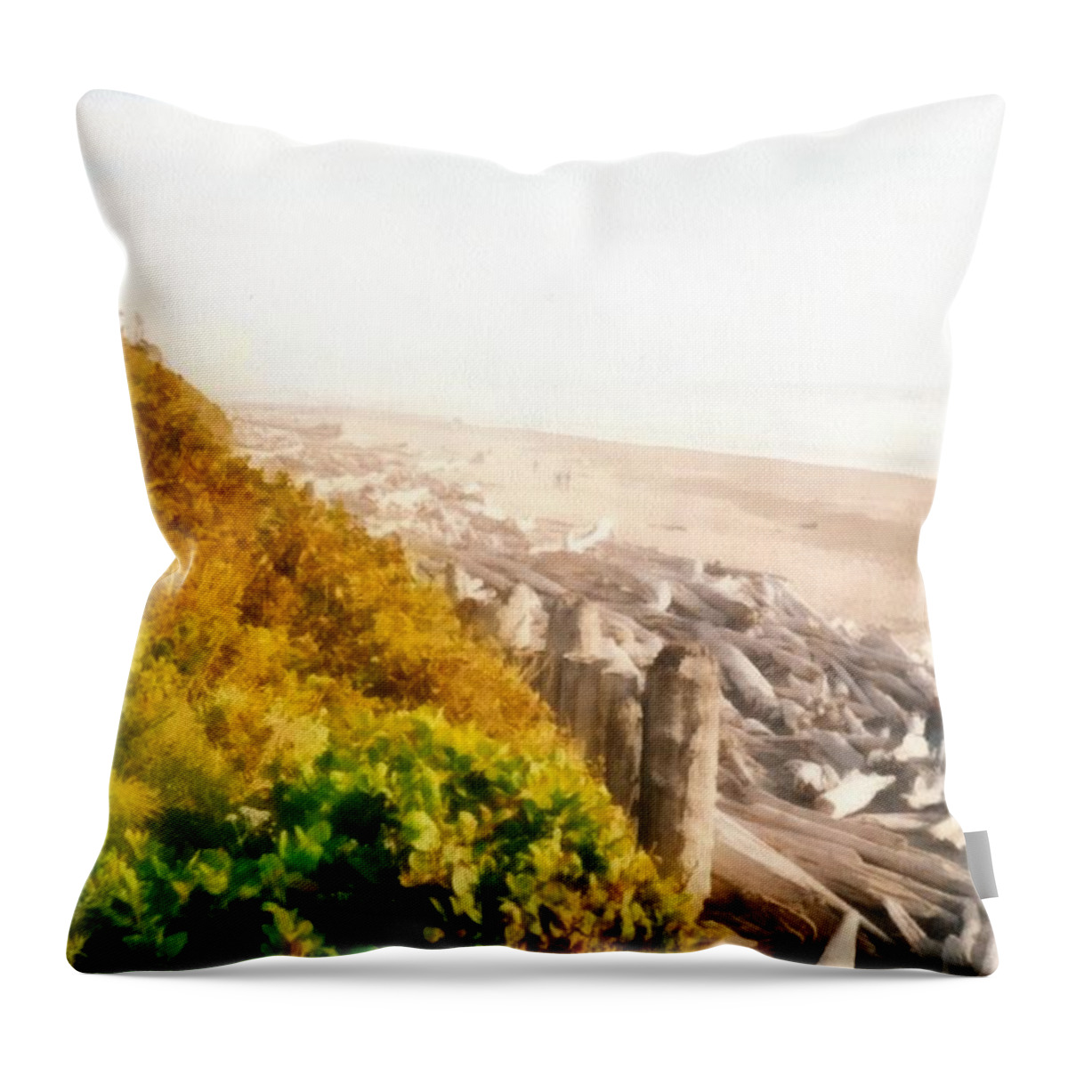 Washington State Coastline Throw Pillow featuring the photograph Olympic Peninsula Driftwood by Michelle Calkins