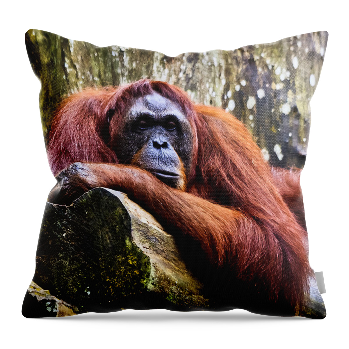 Zoo Throw Pillow featuring the digital art On a limb by Ray Shiu