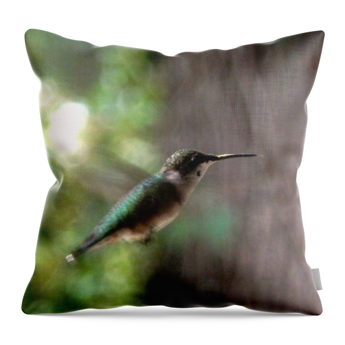 #hummingbird Throw Pillow featuring the photograph Hummingbird On A Mission by Belinda Lee