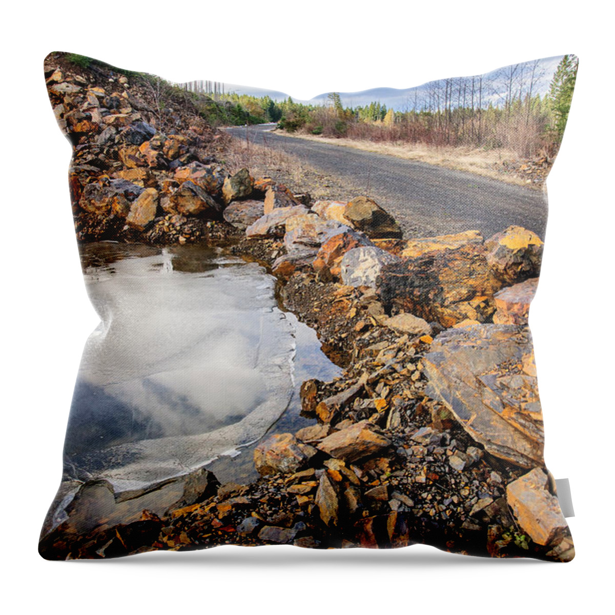 Frozen Pond Throw Pillow featuring the photograph Yin and Yang Backroads by Roxy Hurtubise
