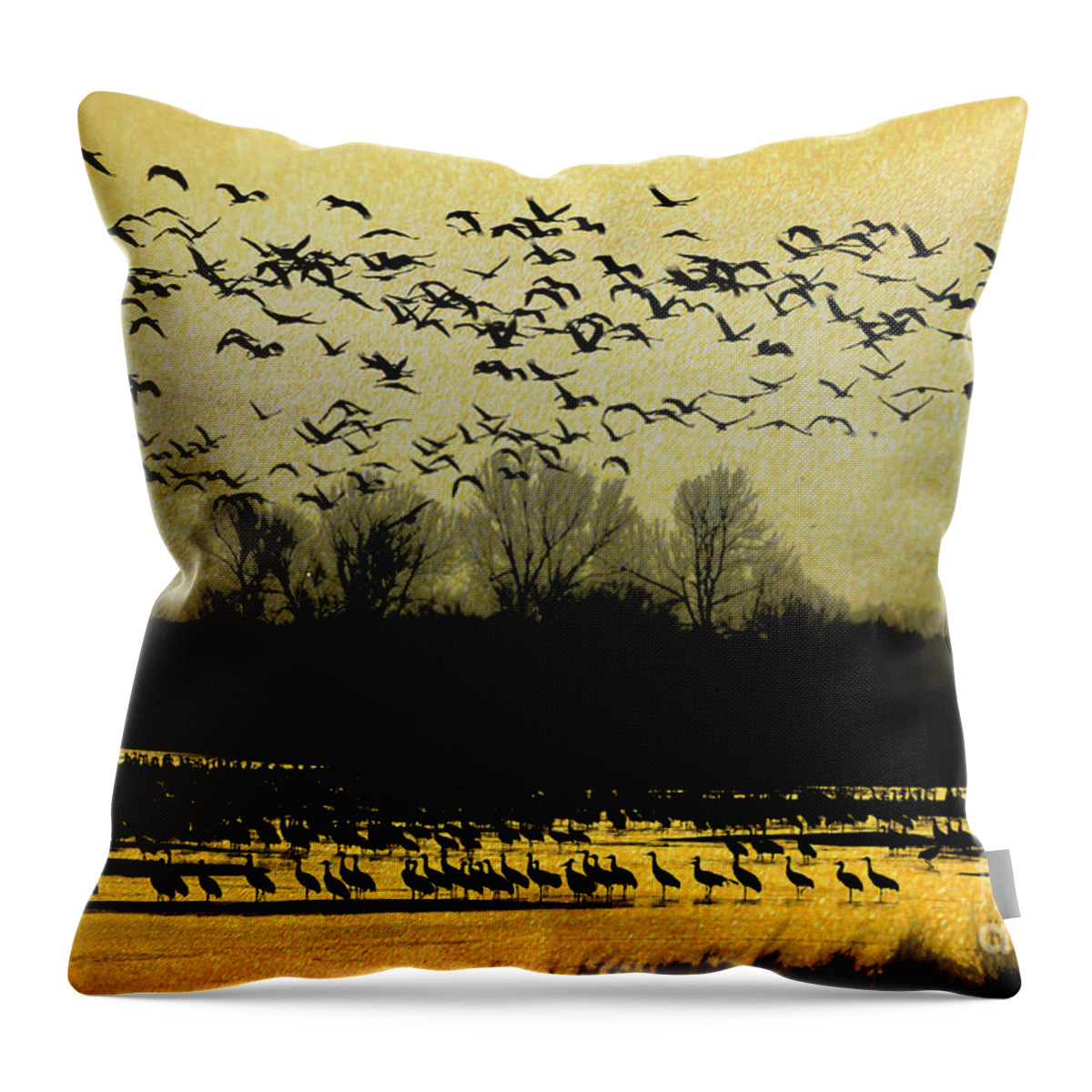 Sandhill Cranes Throw Pillow featuring the photograph On Golden Pond by Elizabeth Winter