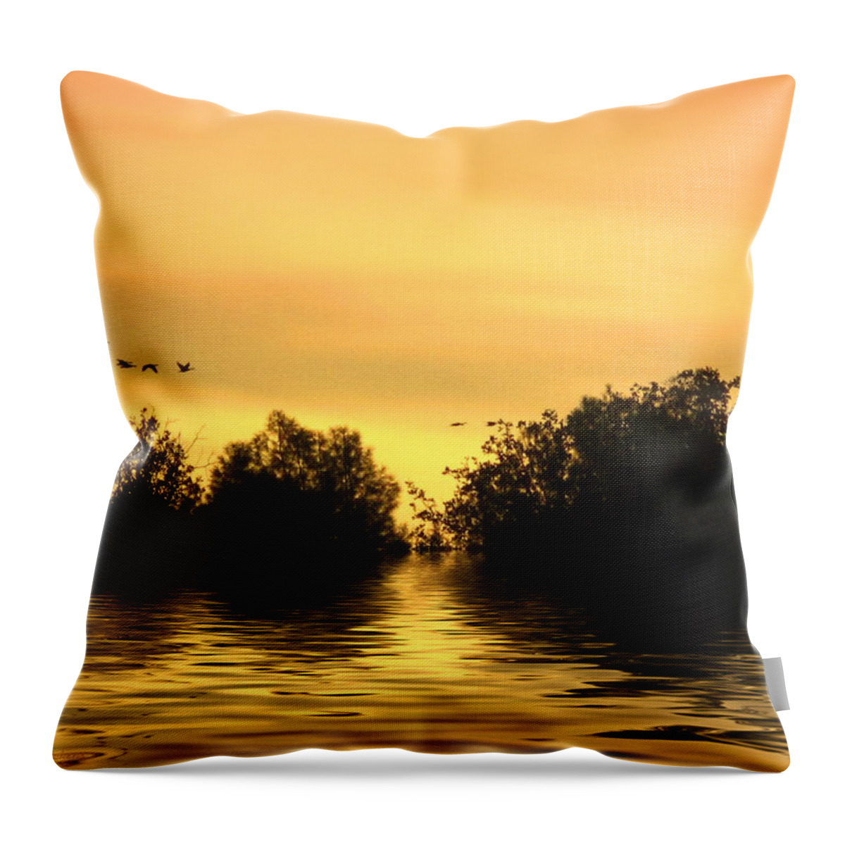 Sunset Throw Pillow featuring the photograph On Golden Pond by Joyce Dickens