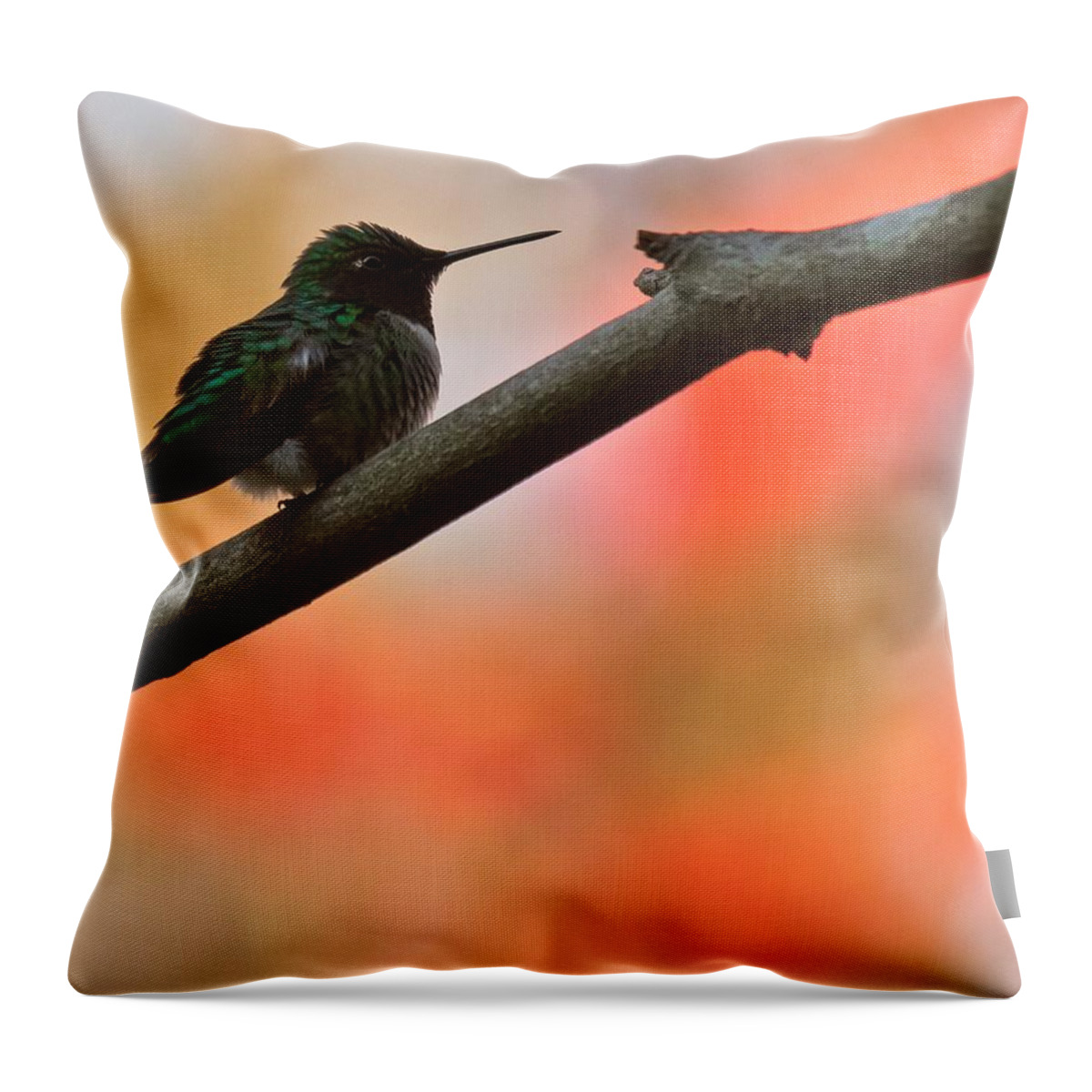 Ruby-throated Humming Bird Throw Pillow featuring the photograph On Guard by Robert L Jackson
