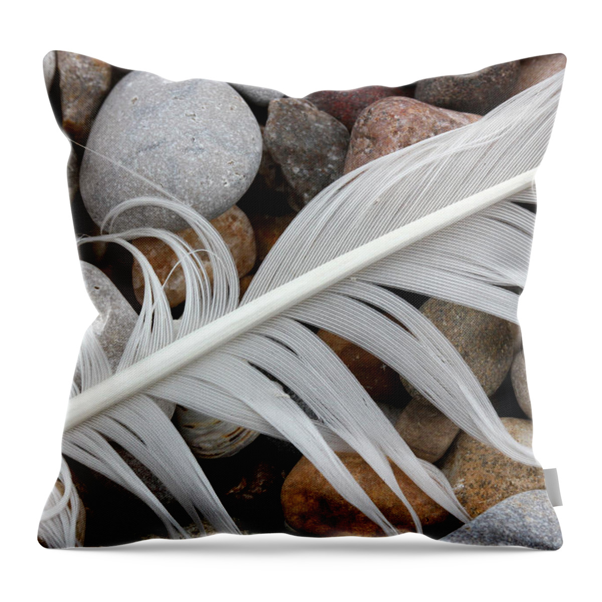 Feather Throw Pillow featuring the photograph On the Beach 11 by Mary Bedy