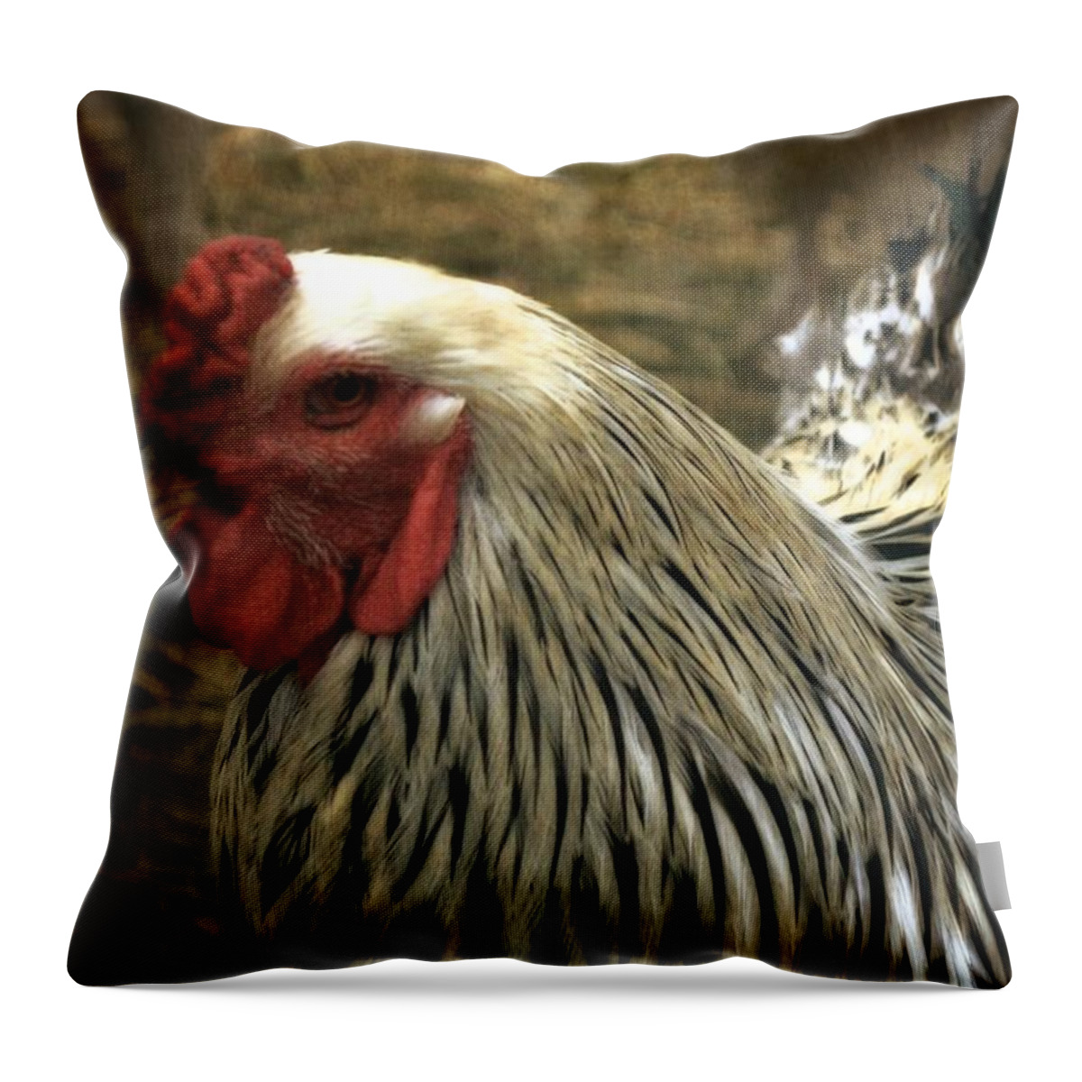 Red Throw Pillow featuring the photograph On the Farm by Michelle Calkins