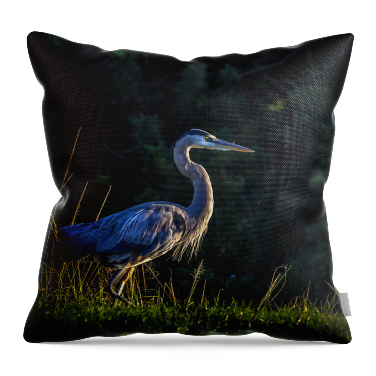 Lakeland Throw Pillow featuring the photograph On The March by Marvin Spates