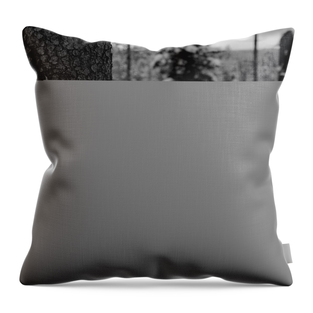 Abenteuer Throw Pillow featuring the photograph On The Tree by Andreas Levi