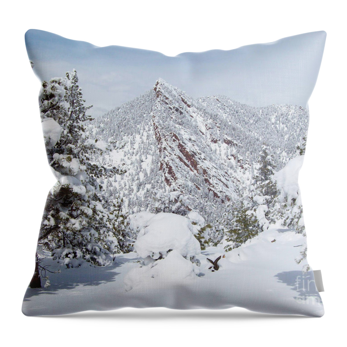 Bear Peak Mountain Throw Pillow featuring the photograph On Top of Bear Peak Snow Mountain by Daniel Larsen