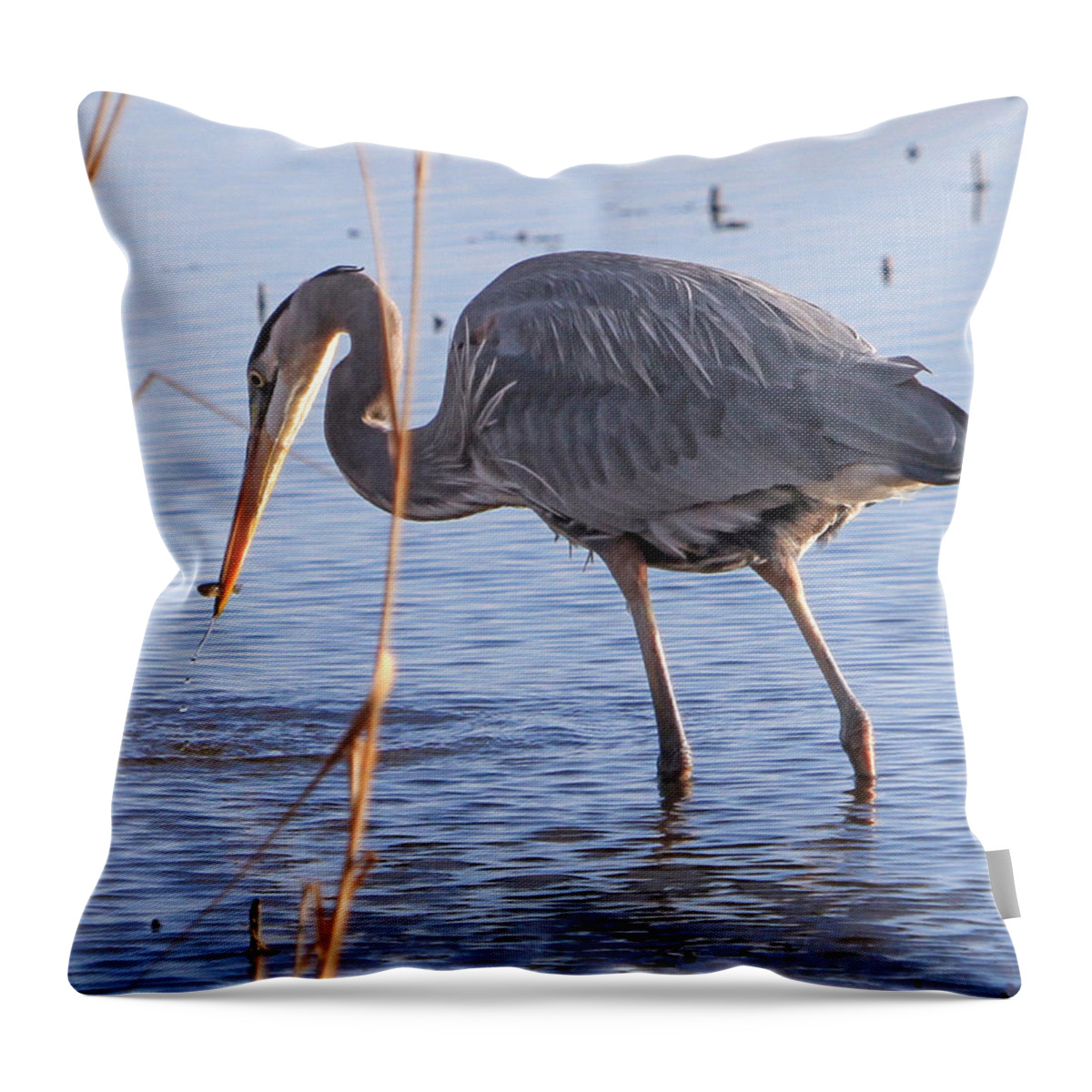 Great Throw Pillow featuring the photograph One bite at a time by Allan Levin