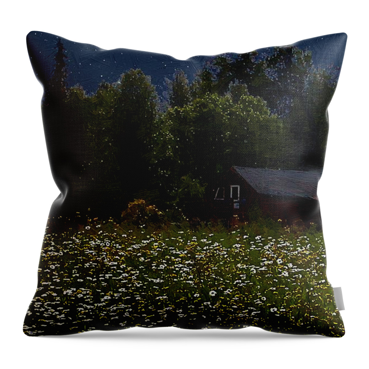 Meadow Throw Pillow featuring the painting One Starry Summer Night by RC DeWinter