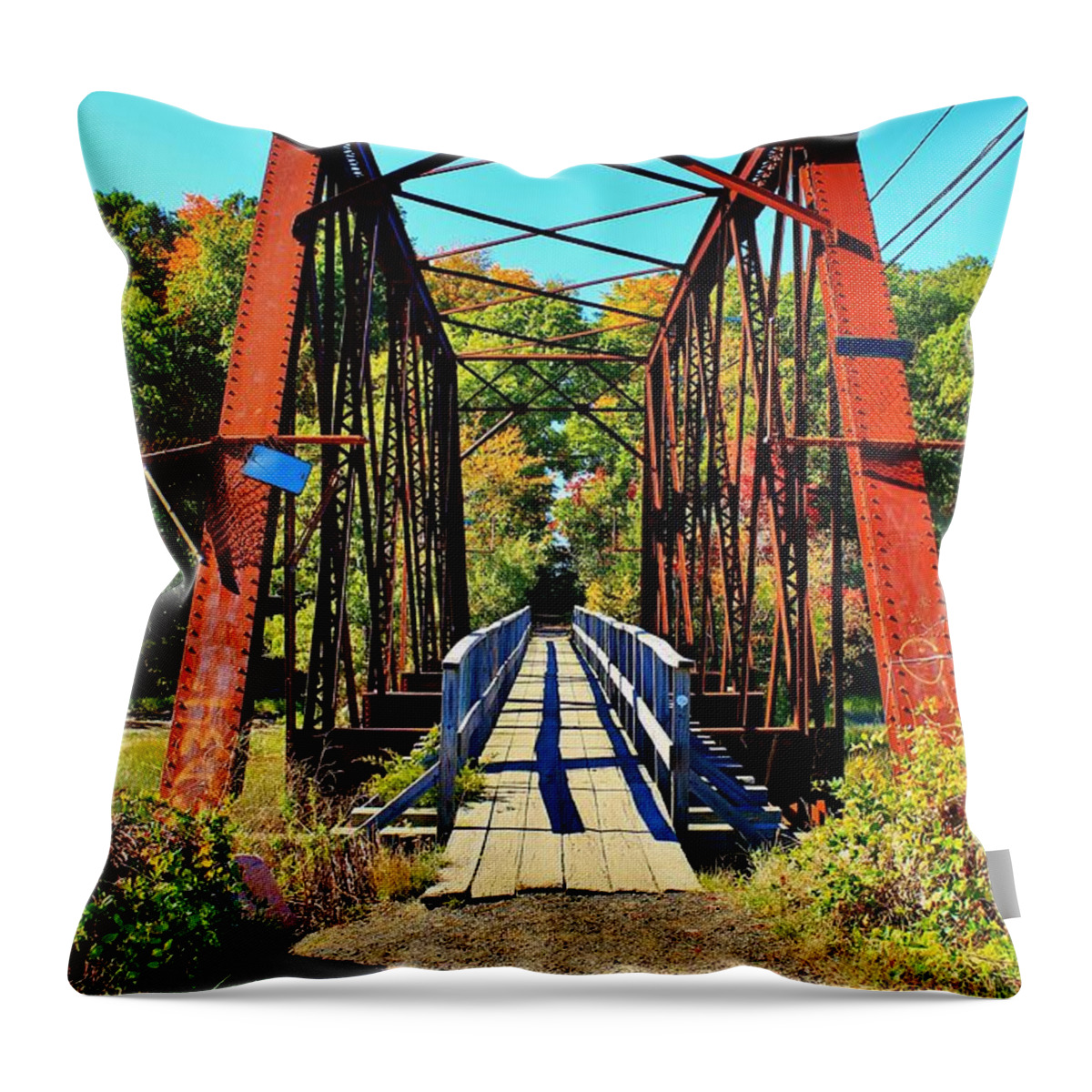 Stony Creek Throw Pillow featuring the photograph One Step at a Time by Catie Canetti