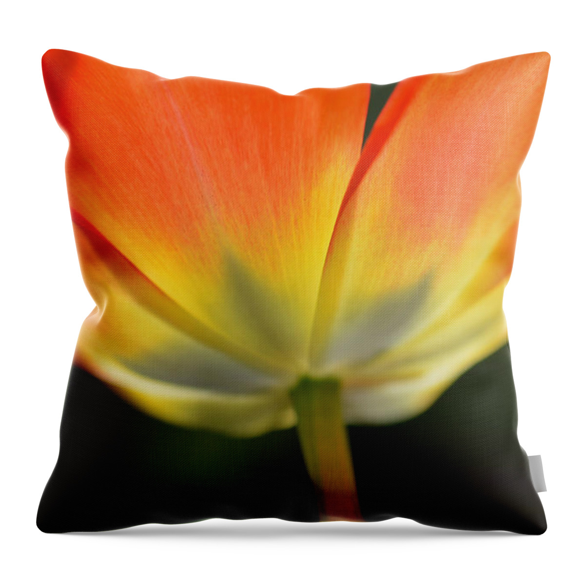Tulip Throw Pillow featuring the photograph One Tulip by JoAnn Lense