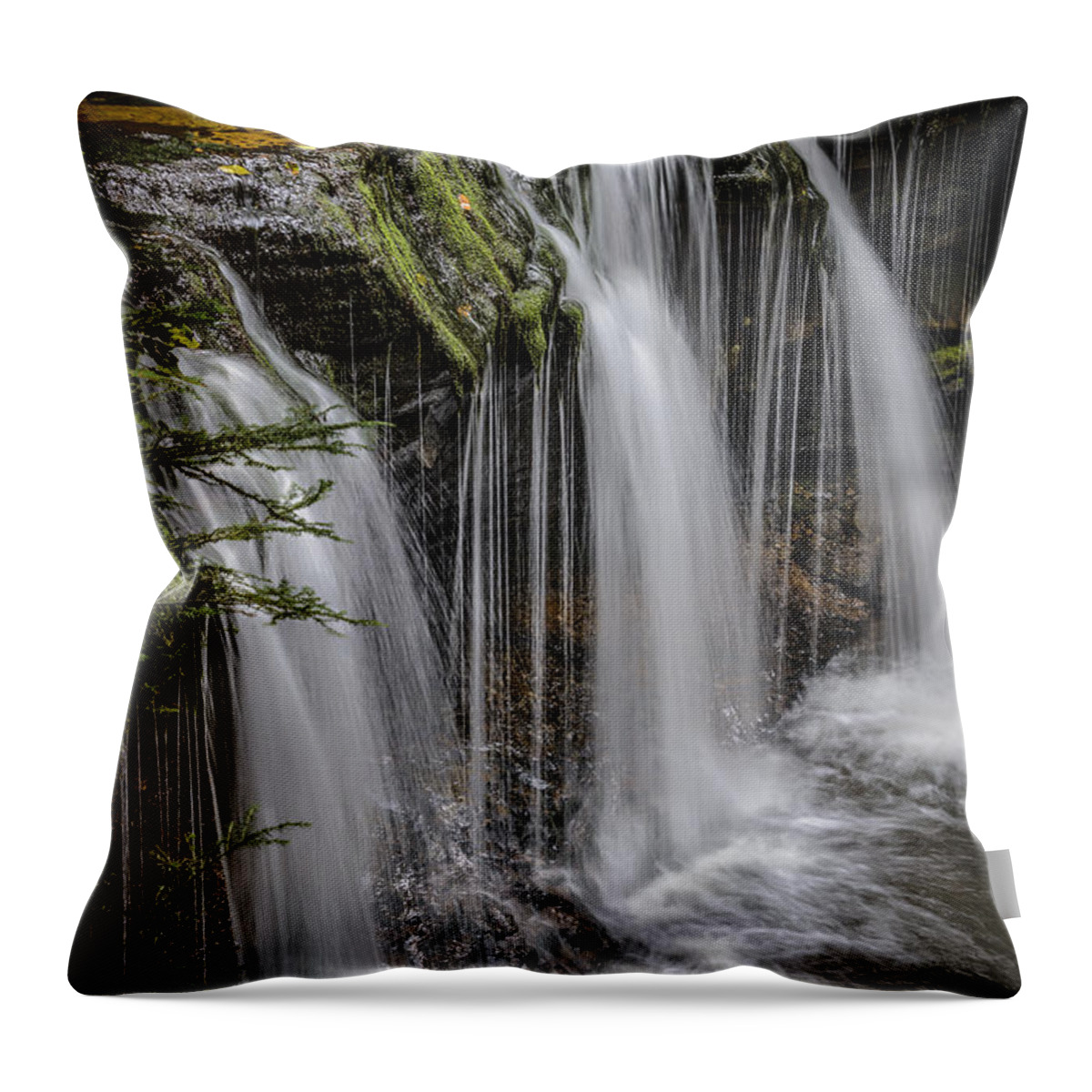 Nature Throw Pillow featuring the photograph Oneida Falls by Robert Mitchell