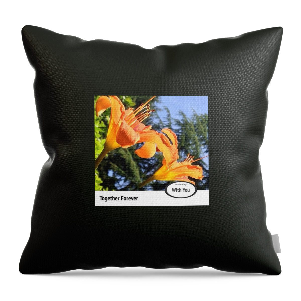 50shadesoforange Throw Pillow featuring the photograph one's Not Half Of Two; Two Are by Anna Porter