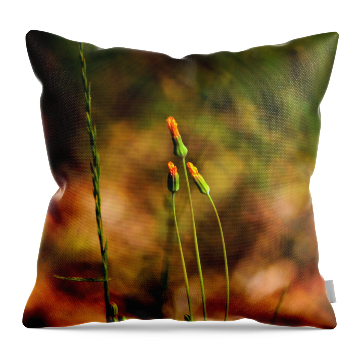 Flower Throw Pillow featuring the photograph Opening Soon by Deena Stoddard
