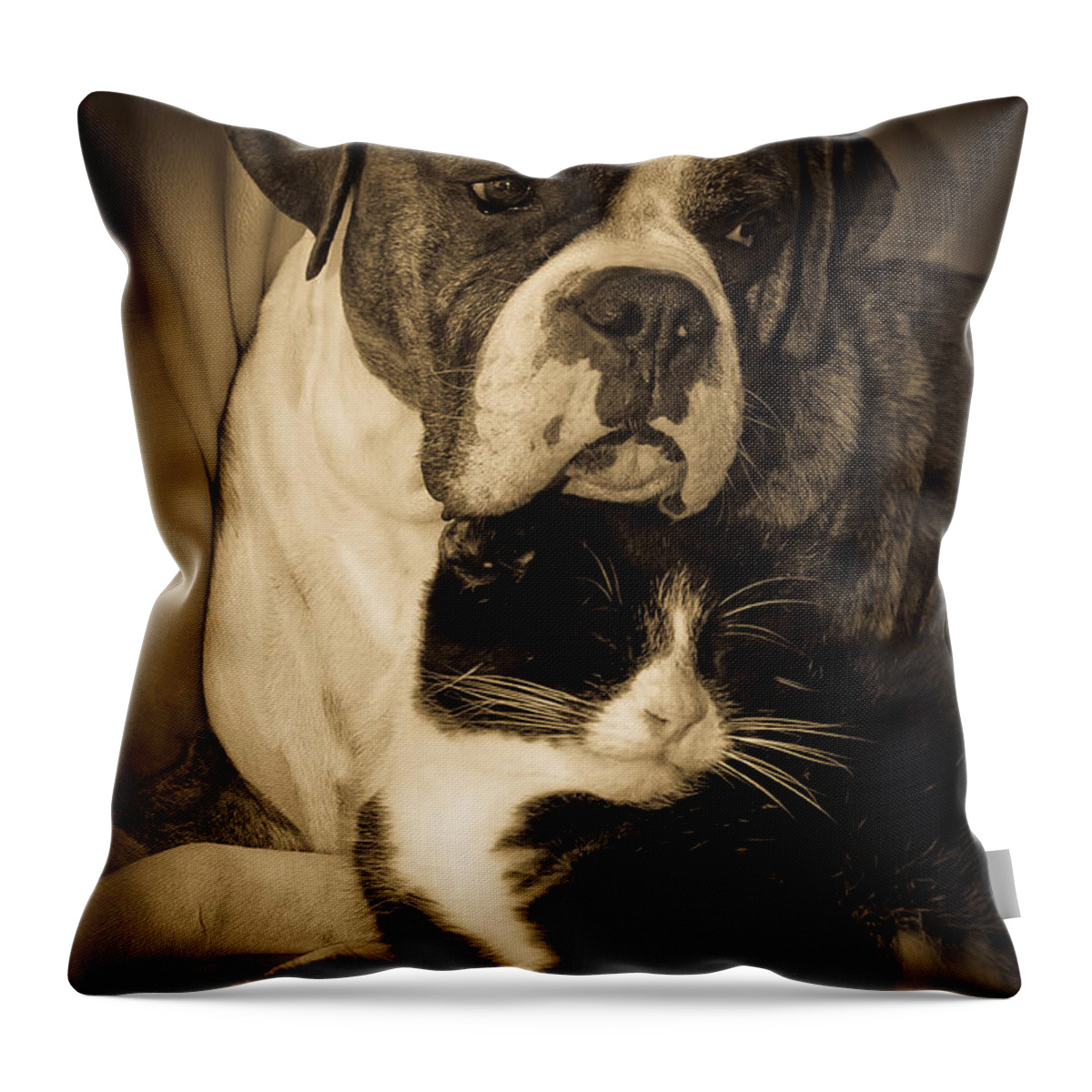 Boxer Throw Pillow featuring the photograph Opposites Attract by DigiArt Diaries by Vicky B Fuller