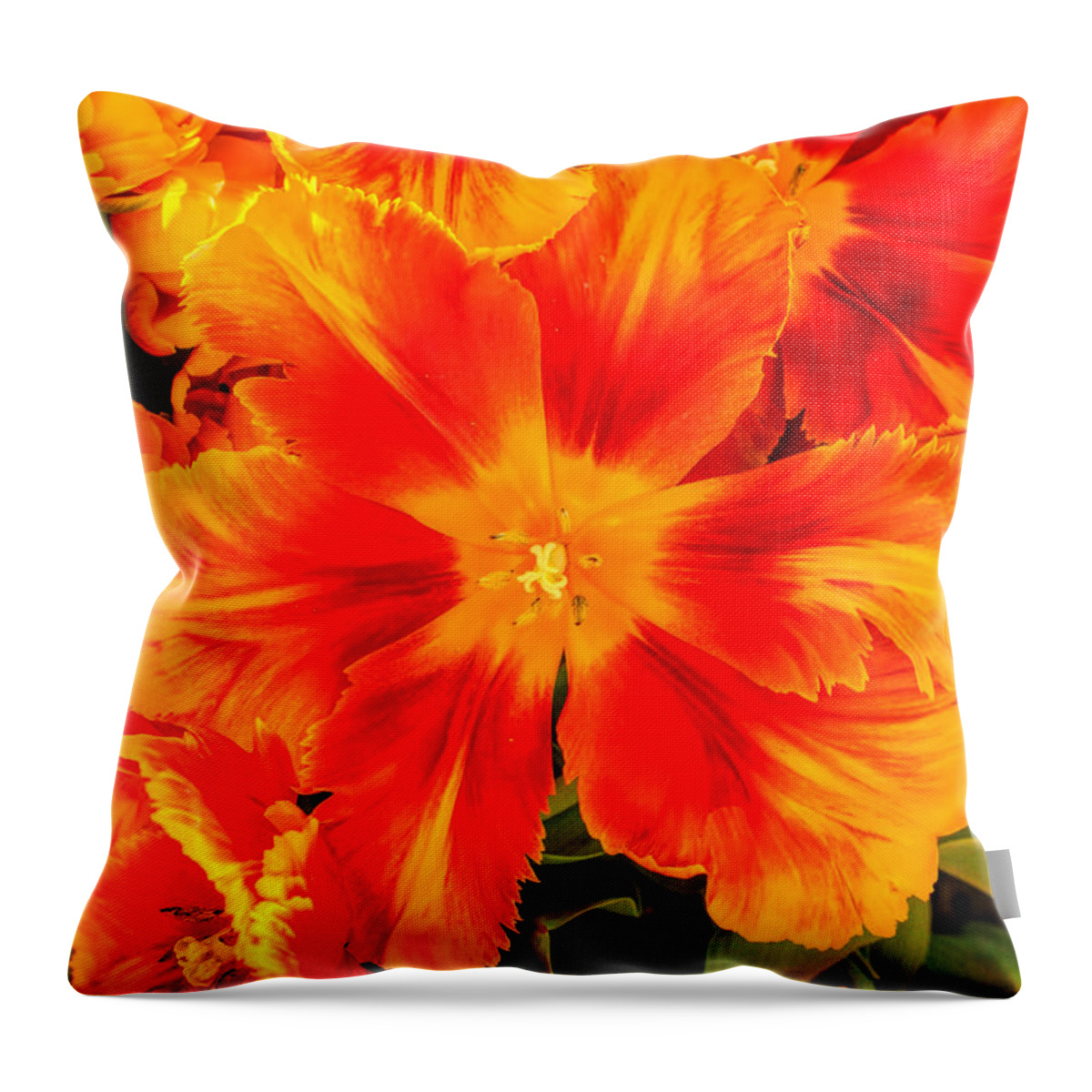 Botanical Gardens Throw Pillow featuring the photograph Orange Flames by Pat Cook