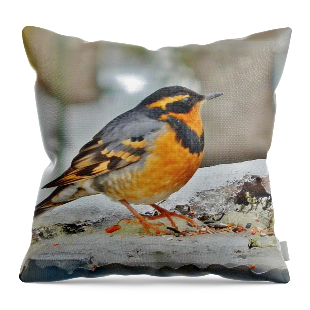 Bird Throw Pillow featuring the photograph Orange Glow of Winter by VLee Watson