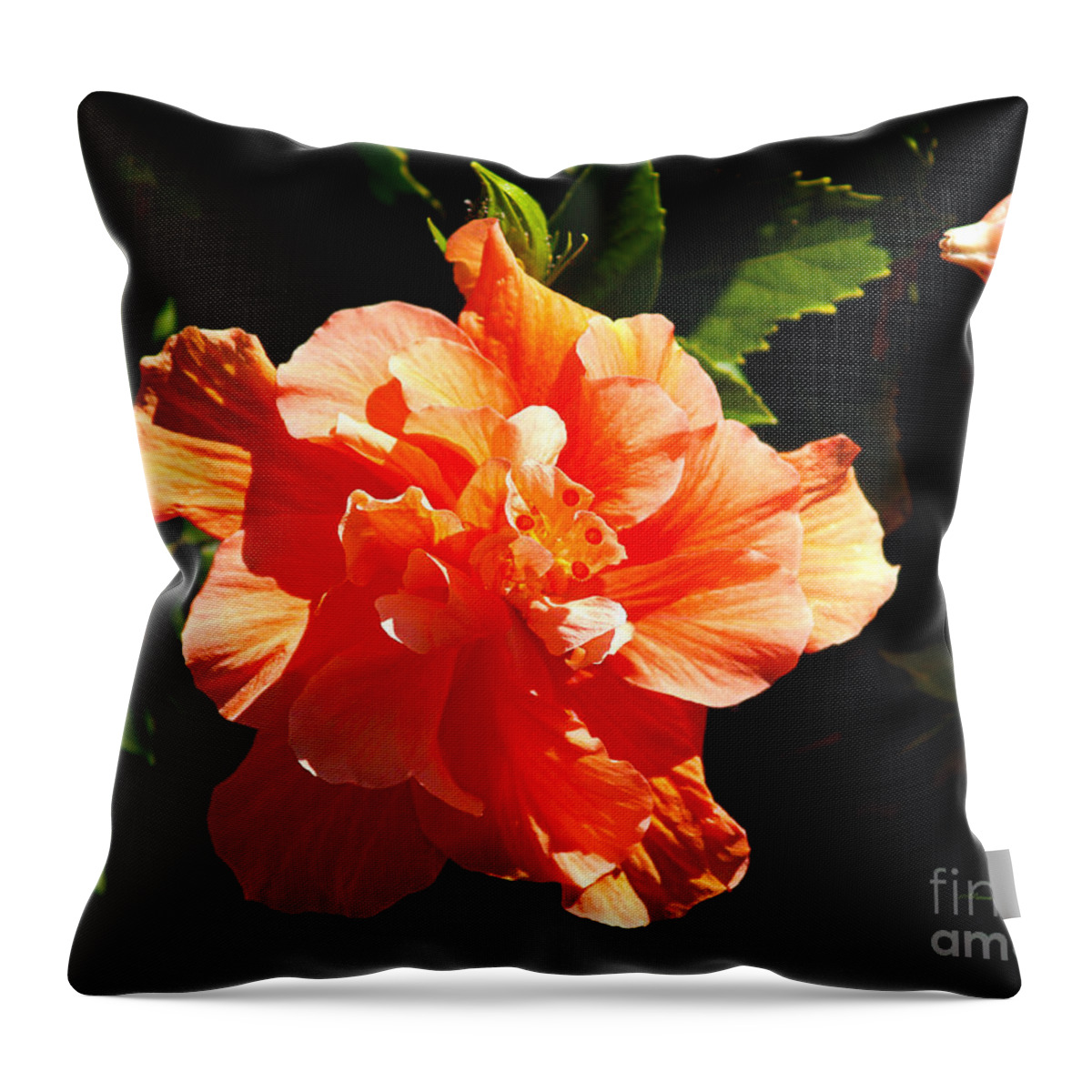 Fine Art Photography Throw Pillow featuring the photograph Orange Hibiscus by Patricia Griffin Brett