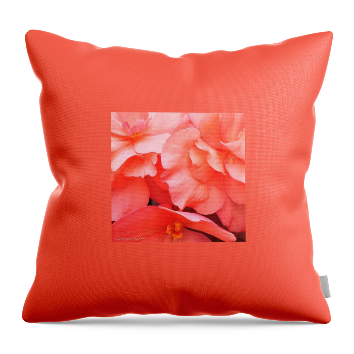 Annasgardens Throw Pillow featuring the photograph Orange Julius Begonias by Anna Porter